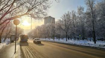 Солнечных дней в Москве в 2022 году было больше нормы, рассказала синоптик