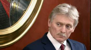 Россия намерена добиваться целей спецоперации, заявил Песков