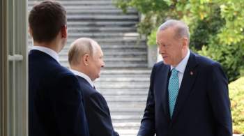 Эксперт: Эрдоган может предложить Путину возобновить переговоры с Киевом 