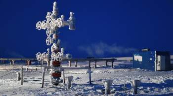 Новак назвал сроки поставки первой партии газа с  Арктик СПГ 2  