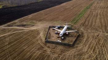 СМИ: Росавиация назвала причины посадки самолета в поле под Новосибирском 