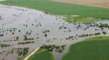 Глава Амурской области оценил ущерб от паводков