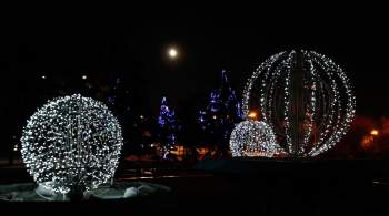 В Донецке в этом году не будут ставить новогоднюю елку