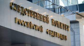 СК возбудил дело после несанкционированной акции в Москве