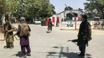 Талибы начали изымать оружие у населения в Афганистане