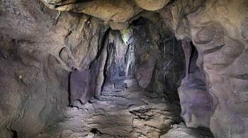На Гибралтаре найдена пещера неандертальцев, где никто не был 40 тысяч лет 