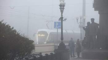 В экстренных службах назвали причину запаха гари в Москве
