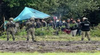 Польские пограничники применили газ против нелегальных мигрантов