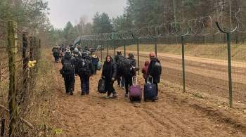 В Польше заявили о попытках нелегальных мигрантов перейти границу