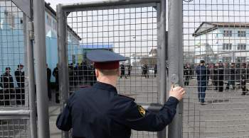 Студента из Карелии приговорили к тюрьме за подстрекательство к госизмене 