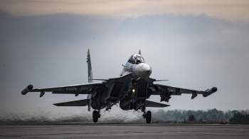 ВКС сбили в ДНР украинский истребитель МиГ-29