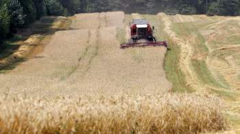 Киев вновь заявил о намерении отправить зерно в Африку и Азию