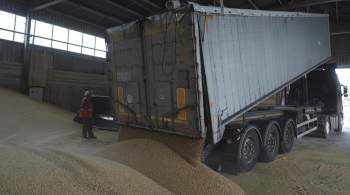 У зерновой сделки нет шансов, заявили в Кремле