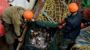 В МИД обвинили Запад во  вбросах  об угрозе для Дании от российских рыбаков 