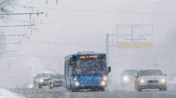 Московский транспорт подготовят к работе в зимний период