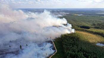 Площадь лесного пожара в Карелии достигла 5 тысяч гектаров