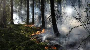 МЧС направило дополнительную технику для тушения пожаров в Якутии