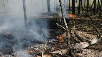 Лесные пожары в Югре ликвидированы