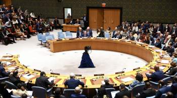 Турция не сможет создать альтернативу Совбезу ООН, заявил эксперт 
