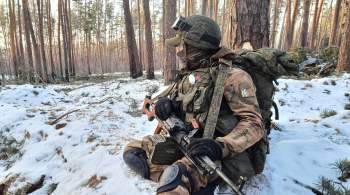 ВС России уничтожили до 170 украинских боевиков на двух направлениях
