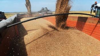 Сирия заключила контракт с Россией о покупке пшеницы 