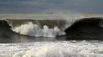 Волны высотой до восьми метров ожидаются на Черноморском побережье 