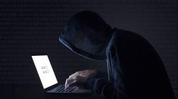 В Госдуме заявили, что хакерские атаки не имеют государственной окраски