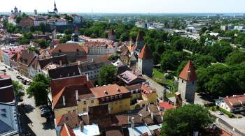 Эстонские СМИ заявили о начале подготовки к партизанской войне