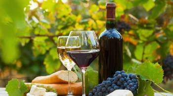 Неделя вин Краснодарского края пройдет в Анапе, Сочи и Геленджике