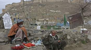 Путин: около четырех миллионов жителей Афганистана нуждаются в помощи