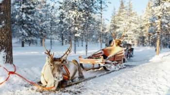 В Финляндии зафиксировали самую низкую температуру в стране за всю зиму 