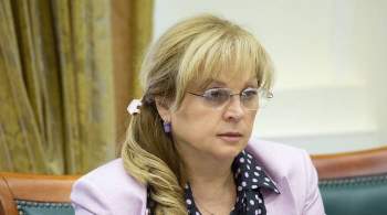 Памфилова призвала партии активнее привлекать наблюдателей на выборы