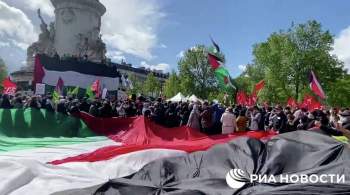 Французы вышли на акцию в поддержку Палестины