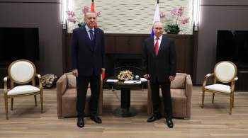 Песков сообщил, что у Путина нет планов по переговорам с Эрдоганом