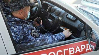 В Петербурге задержали подельников обвиняемого в гибели росгвардейца