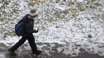 В Москве образовался первый снежный покров