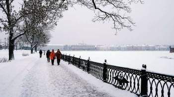 В Петербурге за сутки выпало более девяти сантиметров снега