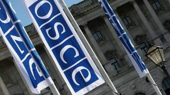 В России прокомментировали скандал на заседании ОБСЕ