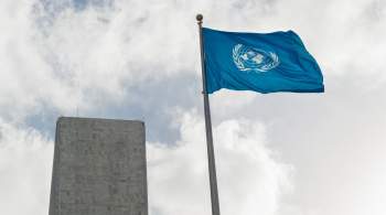 В МИД выступили за статус постоянных членов СБ ООН для Индии и Бразилии 
