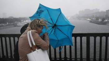 В МЧС предупредили о грозе с ливнем и ветре в понедельник в Москве