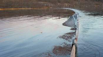 В Росприроднадзоре подсчитали ущерб реке от нефтеразлива в Коми