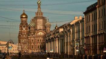 В Петербурге призвали ЦИК проверить законность решений горизбиркома