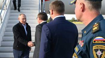 У Путина возникли вопросы к организации лесного хозяйства