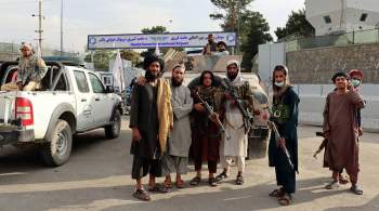 Талибы пообещали афганским врачам зарплату, равную трем тысячам рублей