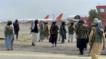 Талибы пригрозили наказать боевиков, стреляющих в воздух