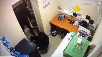 Появилось видео разбойного нападения на магазин в Подмосковье