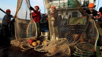 Экспорт рыбопродукции из Приморья в Китай вырос на 28 процентов 