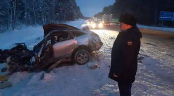 В Томской области погибли три человека в ДТП с грузовиком