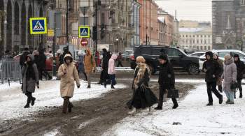 Губернатор Петербурга поручил усилить уборку города после снегопада 