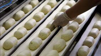 На Кубани поставщик сырья для пекарей увеличил выработку по нацпроекту 